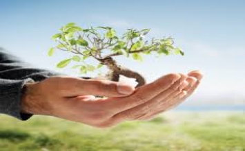 Bảo vệ trái đất bắt đầu từ mỗi chúng ta